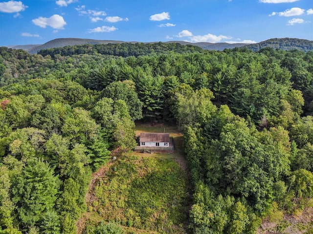 birds eye view of property featuring a mountain view