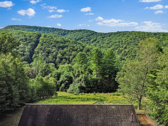 view of mountain feature