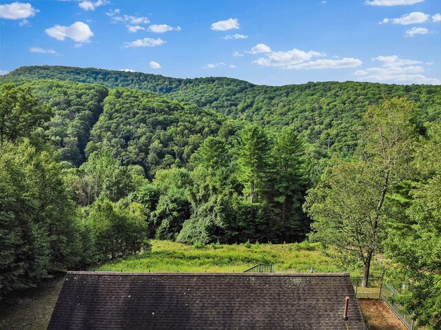 view of mountain feature