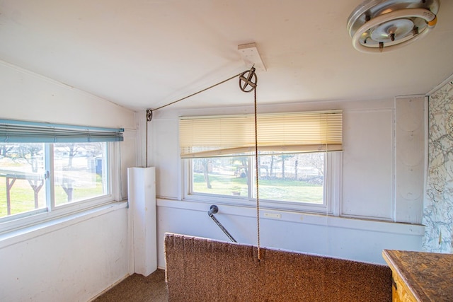 interior space featuring a wealth of natural light, lofted ceiling, and dark colored carpet