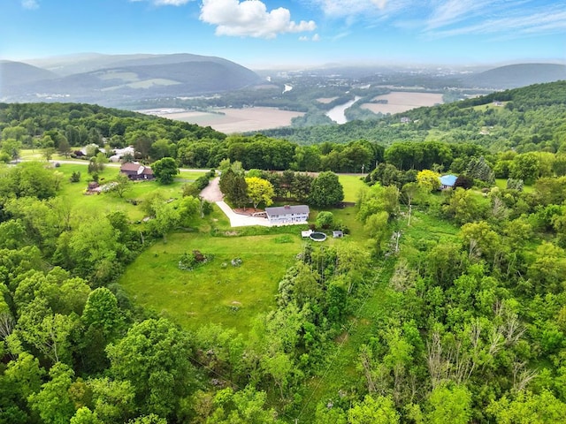 47 Alpine Dr, Athens, PA 18810 - aerial view of property's location with mountains and a forest