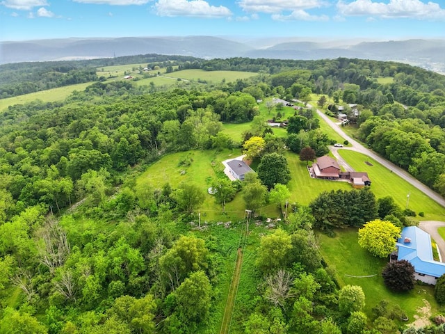 47 Alpine Dr, Athens, PA 18810 - drone / aerial view of mountains