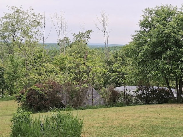47 Alpine Dr, Athens, PA 18810 - view of green lawn