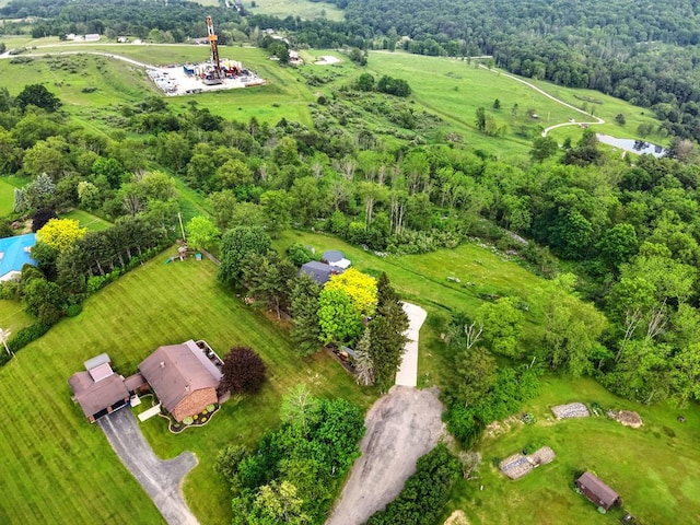 47 Alpine Dr, Athens, PA 18810 - aerial view of sparsely populated area