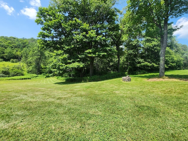 350 Brown Rd, Ulysses, PA 16948 - photo 95