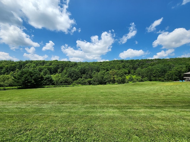 350 Brown Rd, Ulysses, PA 16948 - photo 88