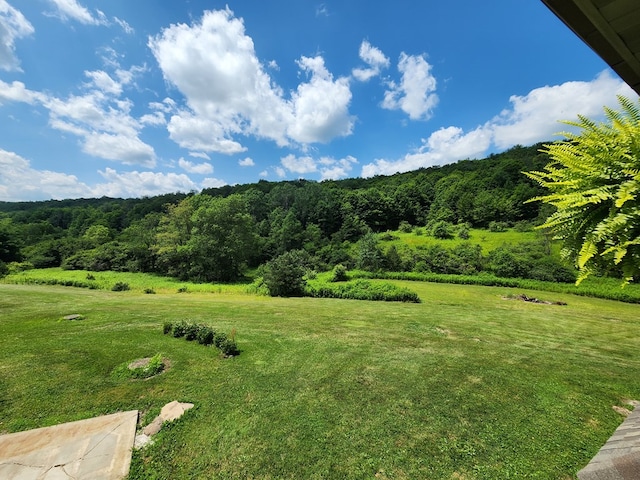 350 Brown Rd, Ulysses, PA 16948 - photo 96
