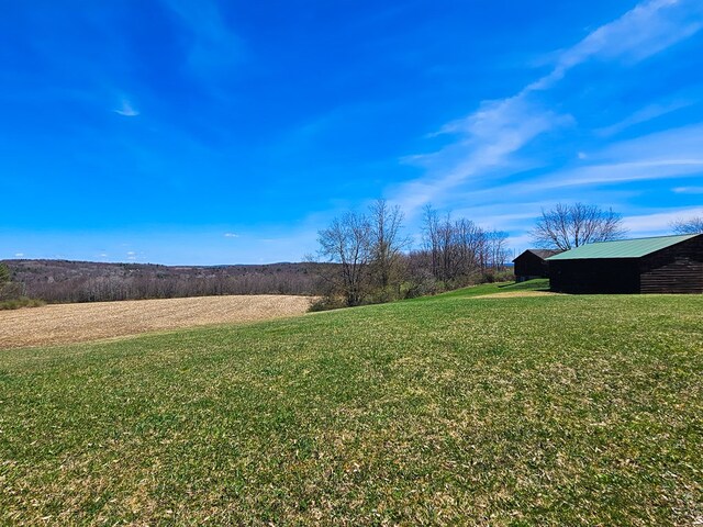 102-108 Fred Catlin Rd, Owego, NY 13827 - view of yard with an outdoor structure and a pole building