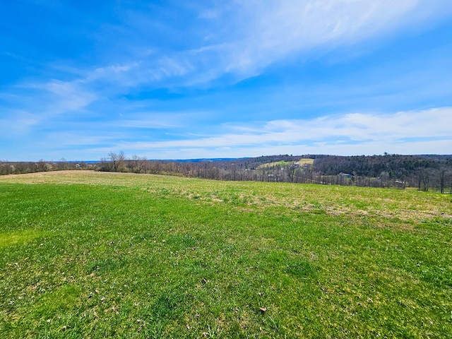102-108 Fred Catlin Rd, Owego, NY 13827 - view of mountain feature with a rural view