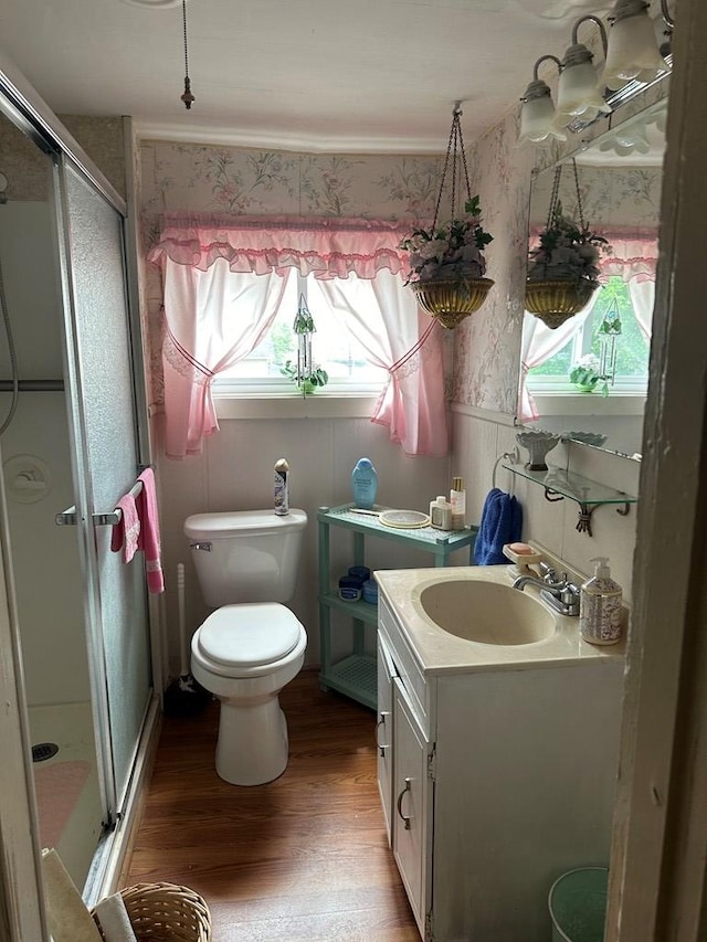 bathroom featuring hardwood / wood-style flooring, vanity, toilet, and a shower with door