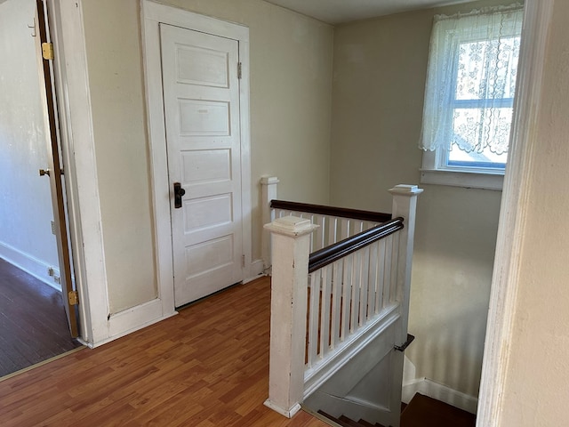 stairway featuring wood-type flooring