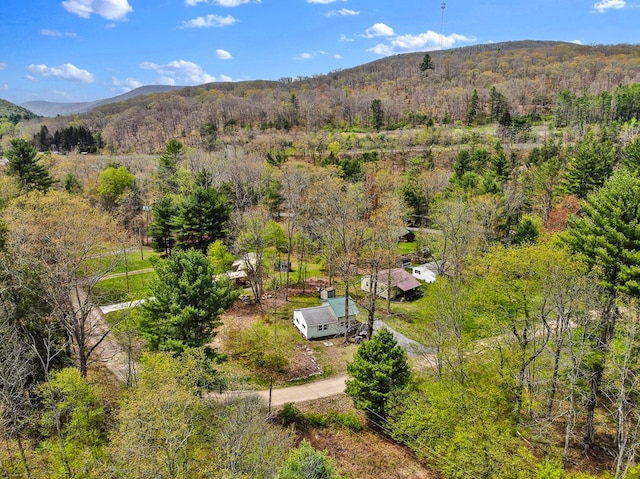 77 Pine Creek Village Rd, Gaines, PA 16921 - birds eye view of property with a view of trees and a mountain view