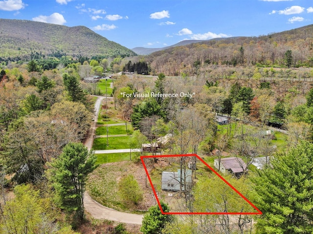 77 Pine Creek Village Rd, Gaines, PA 16921 - bird's eye view featuring a view of trees