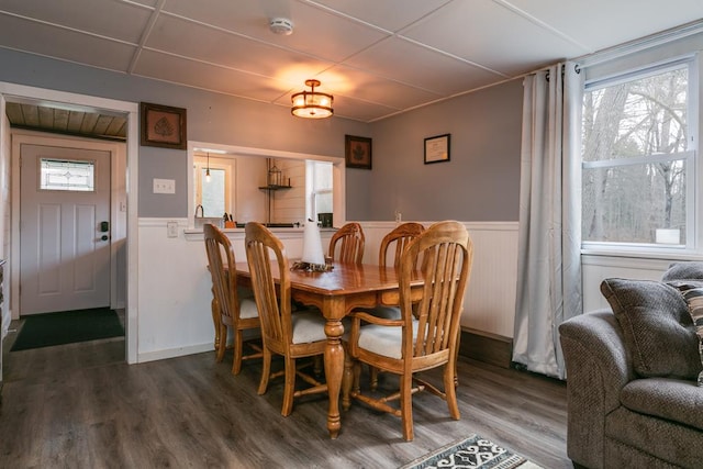 77 Pine Creek Village Rd, Gaines, PA 16921 - dining space with dark wood-style flooring, a wainscoted wall, and a wealth of natural light