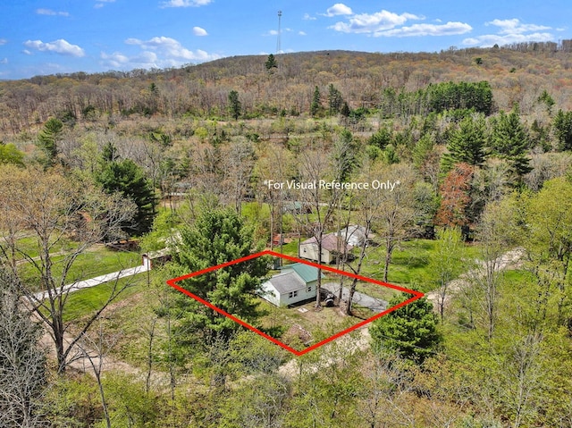 77 Pine Creek Village Rd, Gaines, PA 16921 - bird's eye view featuring a forest view