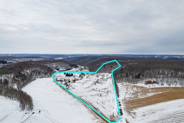 559 Gazdag Rd, Ulysses, PA 16948
