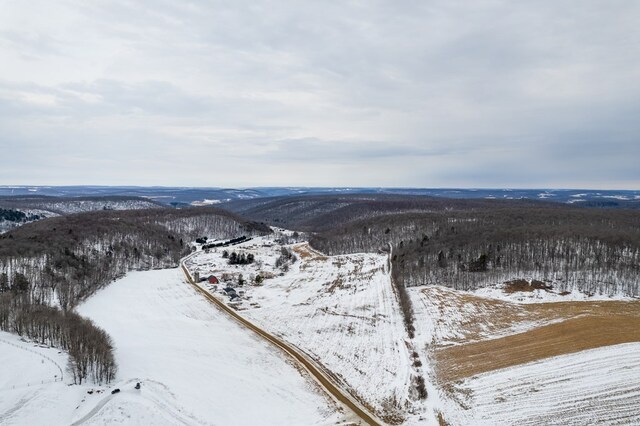 559 Gazdag Rd, Ulysses, PA 16948