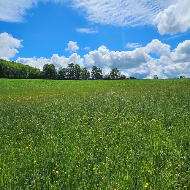 559 Gazdag Rd, Ulysses, PA 16948