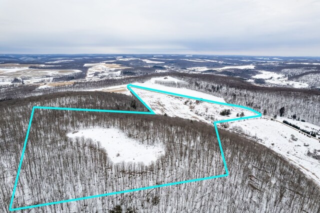 559 Gazdag Rd, Ulysses, PA 16948