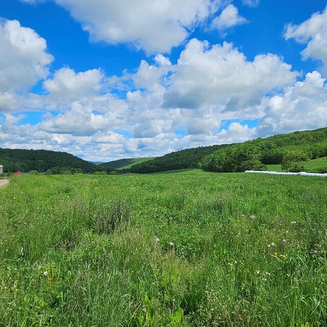 559 Gazdag Rd, Ulysses, PA 16948