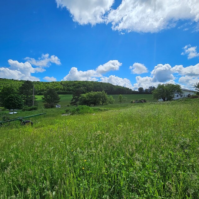 559 Gazdag Rd, Ulysses, PA 16948