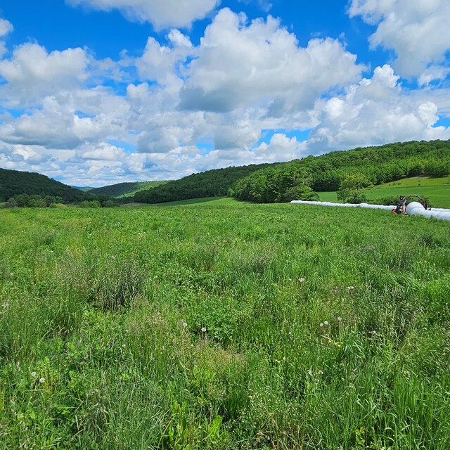 559 Gazdag Rd, Ulysses, PA 16948
