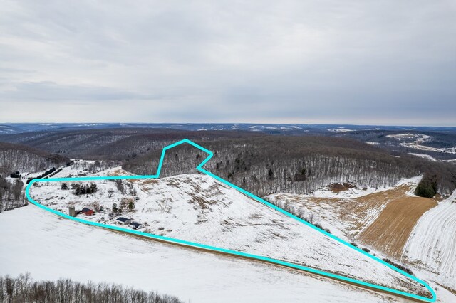 559 Gazdag Rd, Ulysses, PA 16948