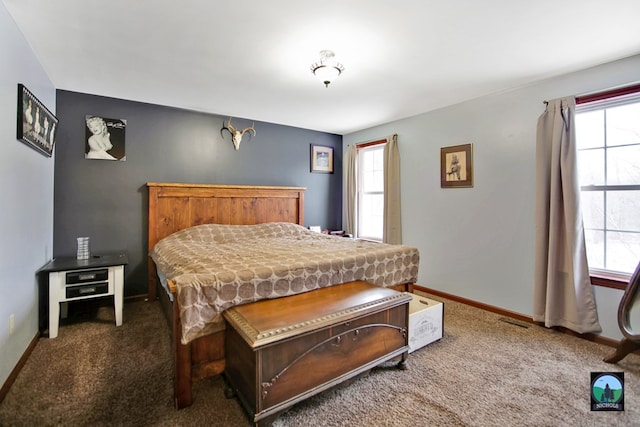 carpeted bedroom with multiple windows