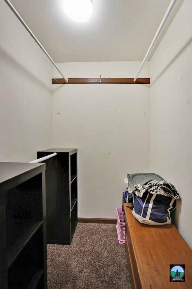 spacious closet featuring dark colored carpet