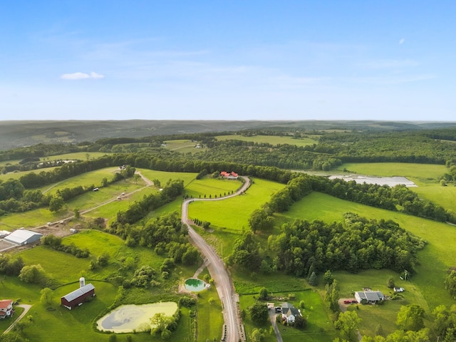 4535 Covered Bridge Rd, Ulster, PA 18850 - view of rural area