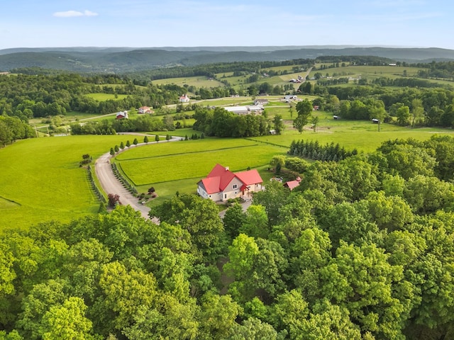 4535 Covered Bridge Rd, Ulster, PA 18850 - overview of rural landscape