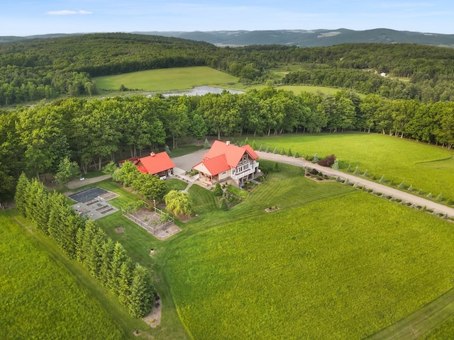 4535 Covered Bridge Rd, Ulster, PA 18850 - drone / aerial view of a forest and a mountainous background