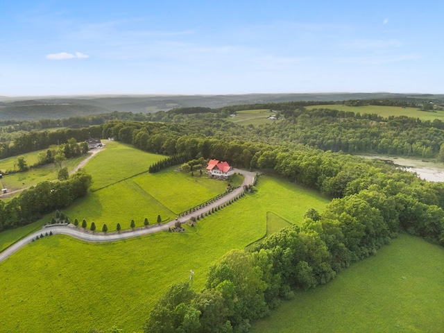4535 Covered Bridge Rd, Ulster, PA 18850 - view of rural area featuring a heavily wooded area