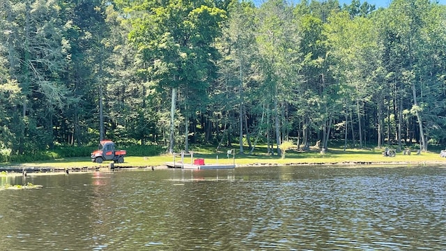 4535 Covered Bridge Rd, Ulster, PA 18850 - water view with a dock and a heavily wooded area