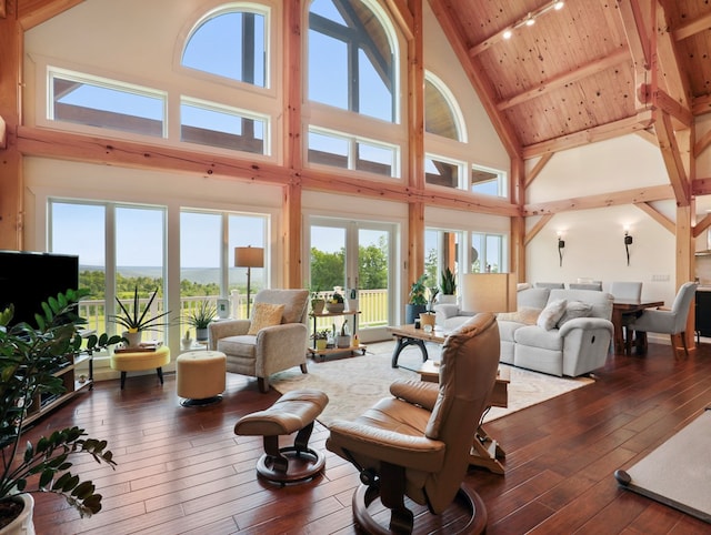 4535 Covered Bridge Rd, Ulster, PA 18850 - living area with high vaulted ceiling, dark wood-type flooring, wooden ceiling with exposed beams, plenty of natural light, and french doors
