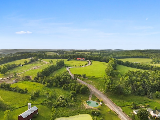 4535 Covered Bridge Rd, Ulster, PA 18850 - aerial view of sparsely populated area