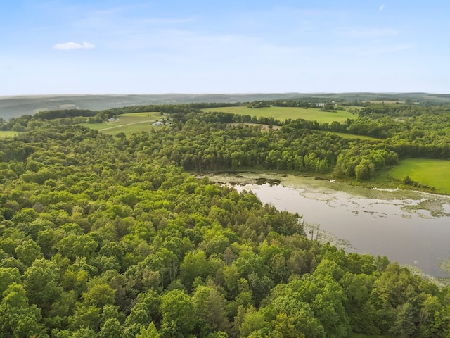 4535 Covered Bridge Rd, Ulster, PA 18850 - bird's eye view of a large body of water and a forest