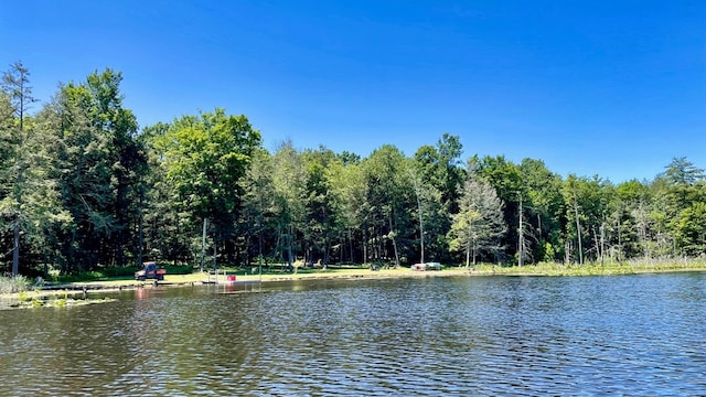 4535 Covered Bridge Rd, Ulster, PA 18850 - water view featuring a heavily wooded area