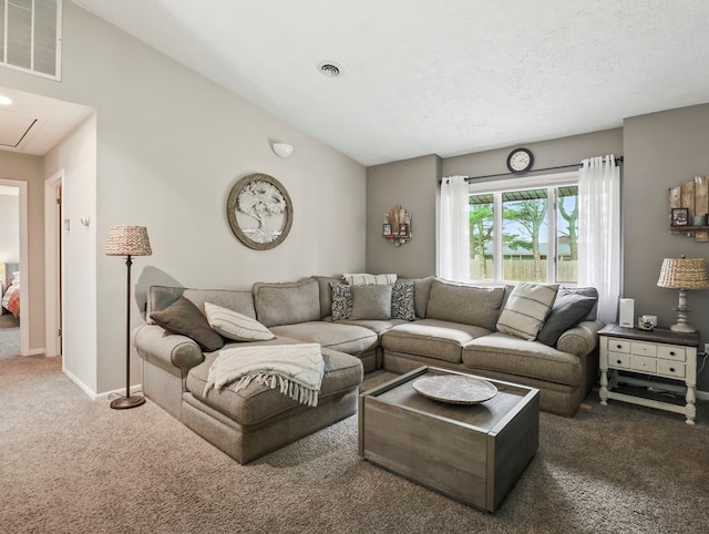 13 Alpine Dr, Athens, PA 18810 - living room featuring attic access, carpet flooring, and vaulted ceiling