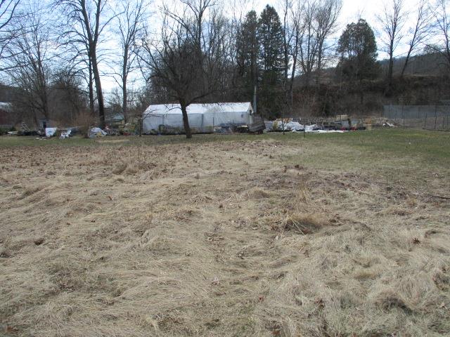 4 Main St, Lockwood, NY 14859 - view of yard