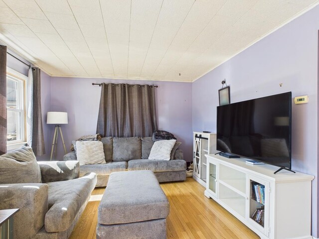 living area with light wood-style floors