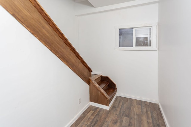 staircase with wood-type flooring