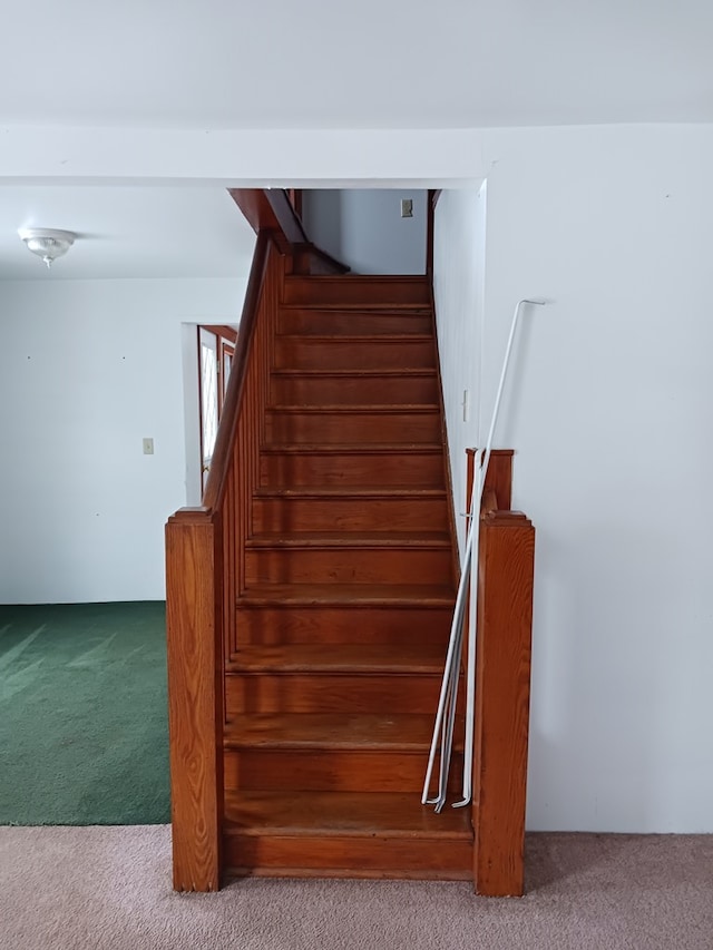 staircase featuring carpet floors