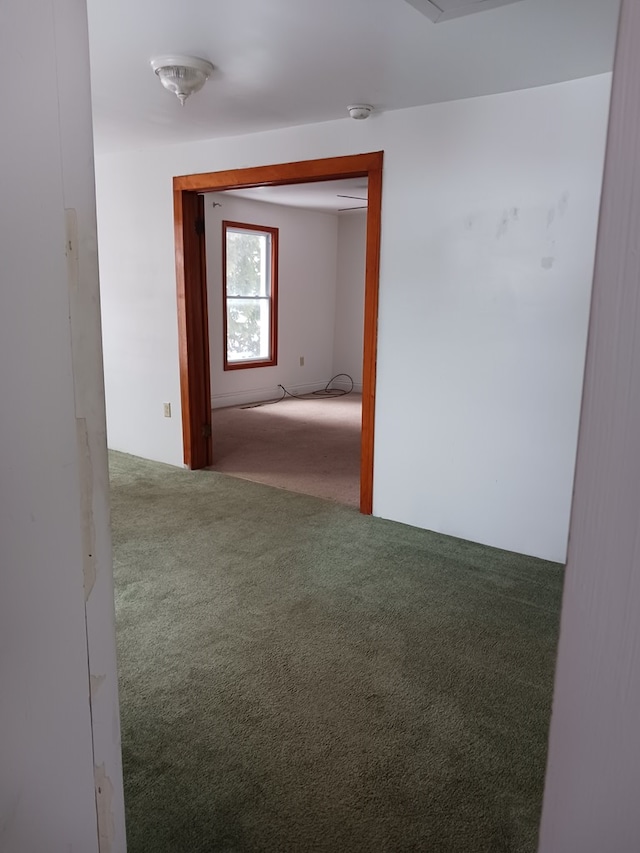 spare room with carpet floors