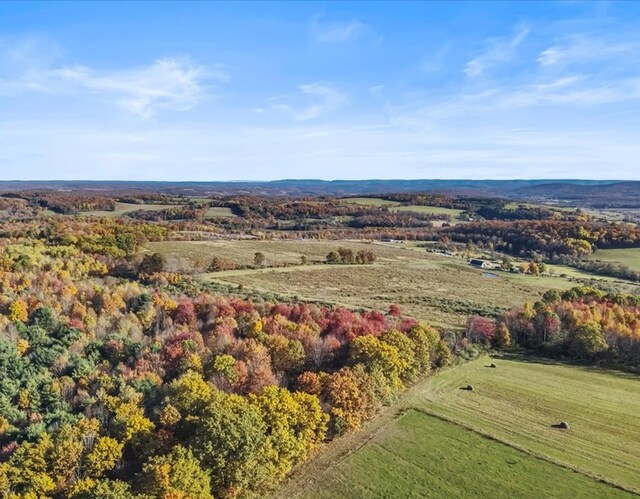 426 Cheney, Columbia Cross Roads, PA 16914 - photo 4