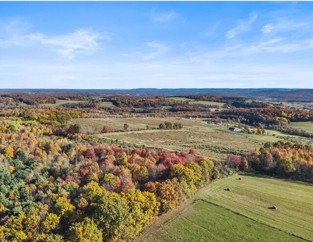 426 Cheney, Columbia Cross Roads, PA 16914 - photo 3