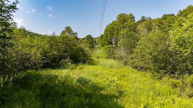 0 Cummiskey Rd, New Albany, PA 18833 - photo 15