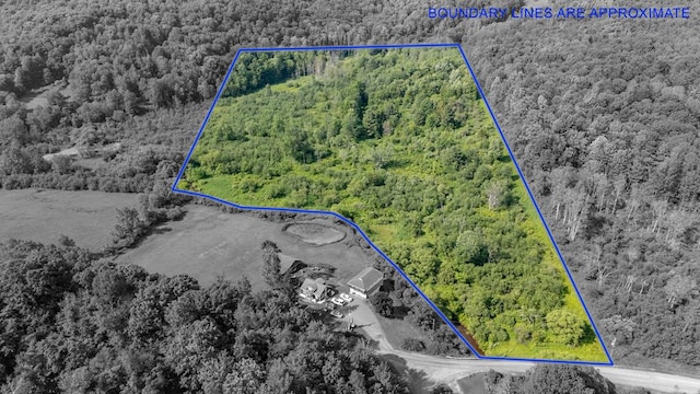 0 Cummiskey Rd, New Albany, PA 18833 - photo 1