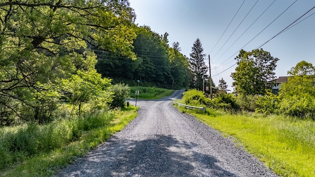 0 Cummiskey Rd, New Albany, PA 18833 - photo 16