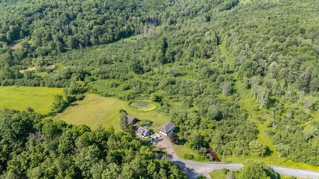 0 Cummiskey Rd, New Albany, PA 18833 - photo 2